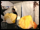Over at the garden center, this fellow was making some incredible sculptures from the largest pumpkins I'd ever seen.